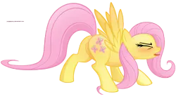 Size: 8440x4748 | Tagged: suggestive, artist:illuminatiums, derpibooru import, fluttershy, pegasus, pony, absurd resolution, blushing, estrus, eyes closed, female, mare, open mouth, plot, raised tail, show accurate, show accurate porn, simple background, solo, solo female, spread wings, sweat, tongue out, transparent background, vector, wingboner