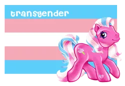Size: 382x263 | Tagged: derpibooru import, flag, g3, pride ponies, safe, solo, transgender, transgender pride flag