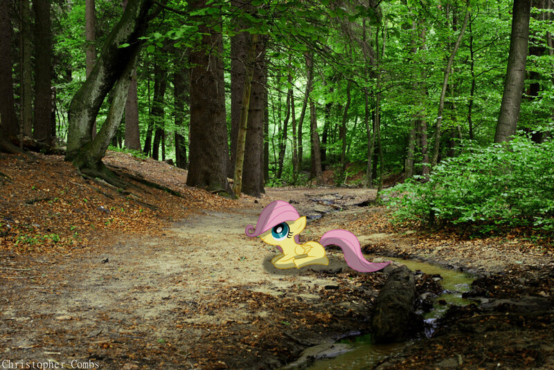 Size: 1446x967 | Tagged: artist:digitalpheonix, artist:kooner-cz, derpibooru import, filly, fluttershy, forest, irl, photo, ponies in real life, river, safe, solo, stream, vector