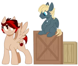 Size: 1000x855 | Tagged: safe, artist:dbkit, derpibooru import, oc, oc:cherry bomber, oc:hightide, unofficial characters only, pegasus, pony, box, brother and sister, jewelry, necklace, offspring, parent:dumbbell, parent:rainbow dash, parents:dumbdash, siblings, simple background, transparent background