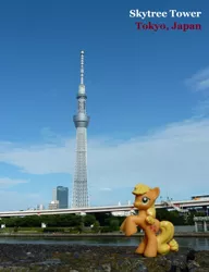 Size: 1387x1804 | Tagged: applejack, artist:caliaponia, derpibooru import, irl, japan, photo, ponies around the world, safe, tokyo, tokyo skytree, toy