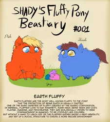 Size: 1200x1326 | Tagged: safe, artist:shadysmarty, derpibooru import, earth pony, fluffy pony, pony, bestiary, fluffy beastiary, fluffy family, fluffy pony foals, text