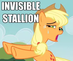 Size: 1079x905 | Tagged: applejack, caption, cowgirl position, derpibooru import, edit, edited screencap, female, image macro, impact font, implied sex, innuendo, invisible stallion, meme, out of context, screencap, solo, solo female, suggestive, sweat, too many pinkie pies