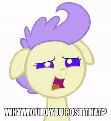 Size: 857x933 | Tagged: safe, artist:3d4d, derpibooru import, cream puff, pony, baby, baby pony, female, image macro, meme, reaction image, simple background, solo, white background, why would you post that, worried