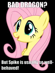 Size: 750x1000 | Tagged: bad dragon, derpibooru import, fluttershy, image macro, meme, painfully innocent fluttershy, solo, spike, suggestive