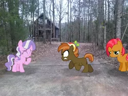 Size: 2592x1944 | Tagged: angry, artist:lahirien, artist:liggliluff, artist:tokkazutara1164, artist:tzolkine, babs seed, button mash, buttonseed, cabin, cabin in the woods, crying, derpibooru import, diamond tiara, forest, irl, laughing, leaves, oc, photo, ponies in real life, safe, shipping, vector