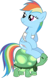 Size: 1990x3203 | Tagged: safe, artist:tourniquetmuffin, derpibooru import, rainbow dash, tank, pegasus, pony, tortoise, may the best pet win, bandage, bandaged wing, ponies riding turtles, simple background, sitting, smiling, transparent background, vector