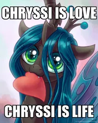 Size: 500x625 | Tagged: :3, artist:kp-shadowsquirrel, cute, cutealis, derpibooru import, edit, exploitable meme, heart, looking at you, meme, mouth hold, nom, queen chrysalis, safe, shrek is love shrek is life, smiling, solo