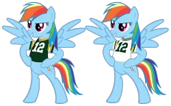Size: 4100x2550 | Tagged: safe, artist:cheezedoodle96, derpibooru import, rainbow dash, pegasus, pony, aaron rodgers, american football, bipedal, clothes, female, green bay packers, jersey, mare, nfl, simple background, solo, transparent background, vector, wisconsin