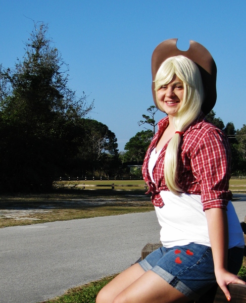 Size: 1596x1968 | Tagged: applejack, artist:konchiroichi, cosplay, derpibooru import, human, irl, irl human, photo, safe, solo