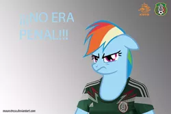 Size: 600x400 | Tagged: angry, clothes, derpibooru import, jersey, mexico, netherlands, no era penal, rainbow dash, safe, solo