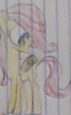 Size: 103x167 | Tagged: safe, artist:gracie_cleopatra, derpibooru import, fluttershy, pegasus, pony, cute, female, filly, filly fluttershy, hair over one eye, lined paper, solo, traditional art, younger