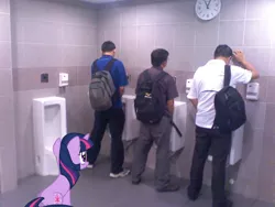 Size: 640x480 | Tagged: safe, derpibooru import, edit, twilight sparkle, human, pony, unicorn, bathroom, female, for science, implied pissing, irl, irl human, mare, photo, ponies in real life, urinal, wat