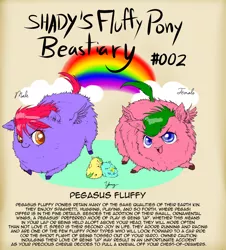 Size: 1200x1326 | Tagged: safe, artist:shadysmarty, derpibooru import, fluffy pony, pegasus, pony, fluffy beastiary, fluffy pony foals, text