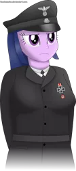 Size: 3111x6945 | Tagged: safe, artist:facelesssoles, derpibooru import, twilight sparkle, equestria girls, clothes, humanized, nazi, solo, swastika, uniform