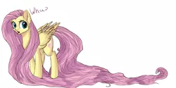 Size: 3000x1500 | Tagged: artist:abovespace, derpibooru import, fluttershy, long mane, long tail, safe, simple background, solo