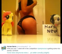 Size: 564x495 | Tagged: ass, aurora, clothes, contest, derpibooru import, fluttershy, horse news, horse news lingerie contest, human, human exhibitionism, irl, irl human, obligatory pony, panties, pantyhorse, photo, plushie, suggestive, the ass was fat, underwear