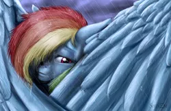 Size: 1360x880 | Tagged: artist:shinzm, derpibooru import, feather, folded wings, rain, rainbow dash, safe, solo, wing shroud