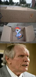 Size: 494x1067 | Tagged: box, evil people finding dash meme, exploitable meme, fanfic:my little dashie, filly, fred phelps, meme, rainbow dash, safe, westboro baptist church