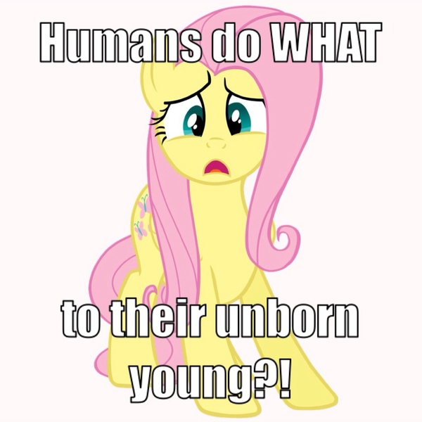 Size: 1024x1024 | Tagged: abortion, caption, derpibooru import, fluttershy, humans do what, op started shit, politics, pro-life, semi-grimdark, solo