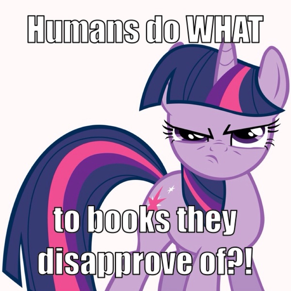 Size: 1024x1024 | Tagged: book burning, derpibooru import, drama, drama bait, humans do what, image macro, meme, mouthpiece, safe, solo, twilight sparkle