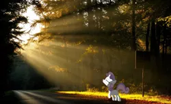 Size: 2013x1228 | Tagged: artist:digitalpheonix, artist:muffinname, derpibooru import, forest, irl, photo, ponies in real life, road, safe, sign, solo, sweetie belle, vector