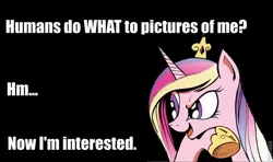 Size: 660x390 | Tagged: deeply intrigued cadance, humans do what, idw, image macro, meme, princess cadance, pro-clop, safe, solo