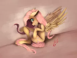 Size: 1200x900 | Tagged: artist:miokomata, blushing, derpibooru import, fangs, floppy ears, fluttershy, looking at you, pose, safe, sitting, smiling, solo, spread wings