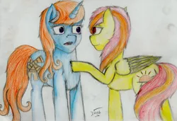 Size: 3446x2353 | Tagged: safe, artist:darkdawnbrony, derpibooru import, oc, unofficial characters only, traditional art