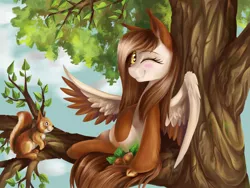 Size: 1600x1200 | Tagged: safe, artist:dearmary, derpibooru import, oc, unofficial characters only, pegasus, pony, squirrel, squirrel pony, blushing, nuts, solo, tree