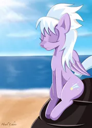 Size: 1024x1427 | Tagged: artist:howl echoes, beach, cloudchaser, derpibooru import, eyes closed, meditating, safe, sitting, solo