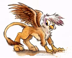 Size: 730x589 | Tagged: safe, artist:kenket, artist:spainfischer, derpibooru import, gilda, gryphon, chest fluff, cute, fluffy, image, jpeg, looking back, open mouth, scruffy, simple background, solo, spread wings, standing, traditional art, white background, wings