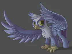 Size: 3958x3000 | Tagged: safe, artist:crispokefan, derpibooru import, oc, unofficial characters only, classical hippogriff, gryphon, hippogriff, high res, solo