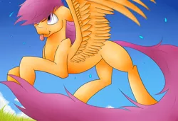 Size: 1216x833 | Tagged: safe, artist:loukaina, derpibooru import, scootaloo, adult blank flank, blank flank, flying, older, solo, tongue out