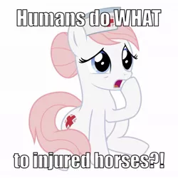 Size: 1024x1024 | Tagged: derpibooru import, euthanasia, humans do what, image macro, meme, mouthpiece, nurse redheart, safe, solo