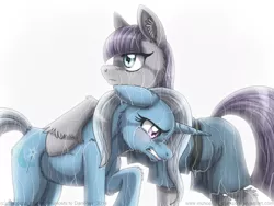 Size: 900x676 | Tagged: safe, artist:inuhoshi-to-darkpen, derpibooru import, maud pie, trixie, pony, comic:damp rocks, crying, female, floppy ears, fluffy, frown, gritted teeth, hug, lesbian, mauxie, rain, sad, shipping, simple background, unshorn fetlocks