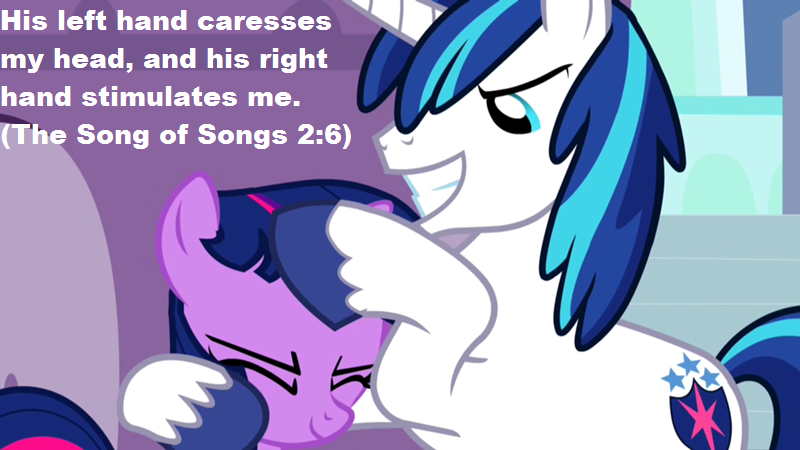 Size: 800x450 | Tagged: bible, bible verse, derpibooru import, edit, edited screencap, filly, head rub, implied incest, implied infidelity, implied shiningsparkle, implied shipping, implied straight, religion, screencap, shining armor, song of solomon, suggestive, twilight sparkle, verse