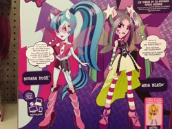 Size: 1024x768 | Tagged: safe, derpibooru import, adagio dazzle, aria blaze, sonata dusk, equestria girls, rainbow rocks, box art, doll, duo, irl, packaging, photo, ponied up, the dazzlings, toy