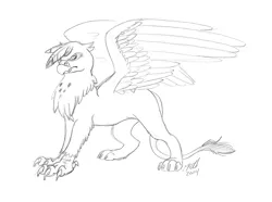 Size: 1186x883 | Tagged: safe, artist:carnivorouscaribou, derpibooru import, gilda, gryphon, monochrome, solo, traditional art