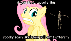 Size: 1000x581 | Tagged: 2spooky, animated, background pony strikes again, black background, comic sans, fluttershy, frown, gritted teeth, safe, scared, simple background, skeleton, spooky, spooky scary skeleton, sweat, upvote bait, wide eyes