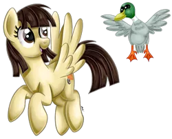 Size: 847x684 | Tagged: safe, artist:iheartjapan789, derpibooru import, wild fire, bird, duck, mallard, pegasus, pony, duo, female, flying, looking down, looking up, male, mare, op, open mouth, ponysona, signature, simple background, smiling, that pony sure does love ducks