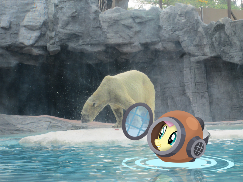 Size: 4608x3456 | Tagged: artist:dasprid, artist:missbeigepony, cave, derpibooru import, diving suit, fluttershy, irl, photo, polar bear, ponies in real life, safe, singapore, vector, water, zoo