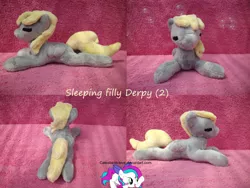 Size: 1024x770 | Tagged: safe, artist:celestia-in-love, derpibooru import, derpy hooves, pegasus, pony, female, irl, mare, photo, plushie