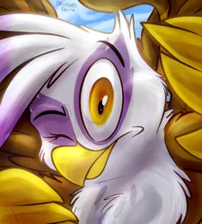 Size: 648x720 | Tagged: safe, artist:thedoggygal, derpibooru import, gilda, gryphon, looking at you, solo