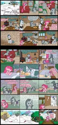 Size: 1800x3867 | Tagged: artist:jberg18, cloudy quartz, comic, death, deathbed, derpibooru import, marble pie, pinkie pie, safe, the story of pinkie pie