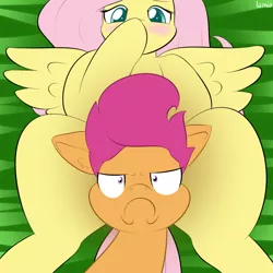 Size: 1000x1000 | Tagged: suggestive, artist:lamia, derpibooru import, fluttershy, scootaloo, blushing, censored, cockblock, spread legs