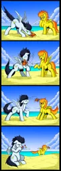 Size: 800x2227 | Tagged: artist:exelzior, beach, chest fluff, comic, crab, derpibooru import, female, floppy ears, fluffy, karma, leg fluff, male, mare, nose pinch, nudity, old cutie mark, pinch, sheath, soarin', spitfire, stallion, suggestive