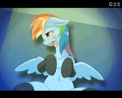 Size: 700x560 | Tagged: suggestive, alternate version, artist:oze, derpibooru import, rainbow dash, pegasus, pony, ahegao, ambiguous penetration, animated, bedroom eyes, belly button, clothes, dominant pov, female, floppy ears, frame by frame, gif, gritted teeth, implied sex, looking up, mare, offscreen character, on back, open mouth, pov, sexy, socks, solo, spread legs, spread wings, spreading, stage, stockings, sweat, sweatdrop, tongue out, wings