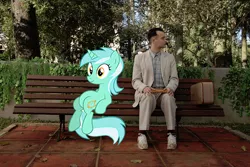 Size: 500x333 | Tagged: crossover, derpibooru import, forrest gump, human, lyra heartstrings, meme, safe, sitting, sitting lyra, tom hanks