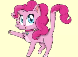 Size: 1024x751 | Tagged: artist:diamond--rose, cat, catified, collar, derpibooru import, pinkie cat, pinkie pie, safe, solo, species swap